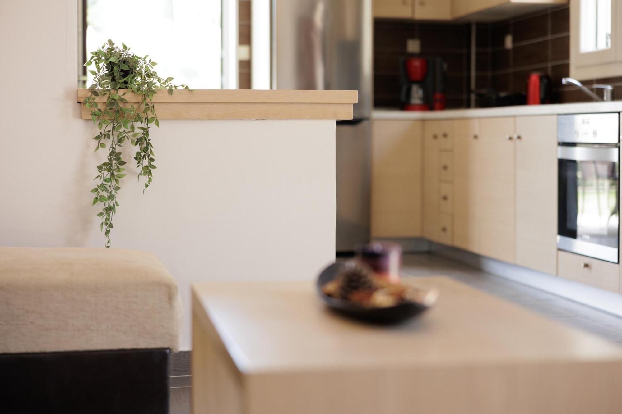 Santos Luxury Apartments Dassia  Cameră foto